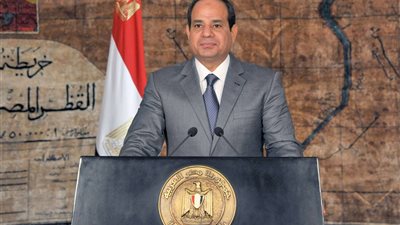 جمع 60 ألف توقيع لمطالبة السيسي بتسعير الأرز قبل رمضان في المنيا