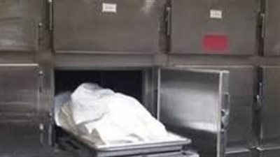 استشهاد مجندين في شمال سيناء