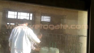 بالفيديو والصور.. مافيا التهريب تصل محطة قطارات بورسعيد