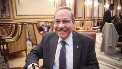 «دعم مصر»: ننتظر برنامج الحكومة لتحديد موقفنا من التشكيل الوزاري