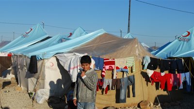 إسرائيل تشترط دفع مصر تعويضات لليهود لحل قضية فلسطين