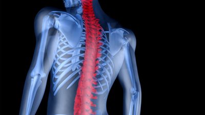 ضعف النظر يصيب بالتهابات المفاصل والفقرات