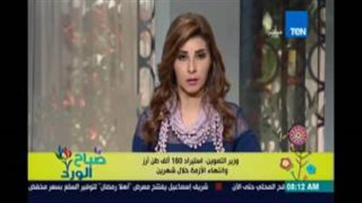 بالفيديو.. مذيعة «ten»: «بنصدر الأرز عالي الجودة وبنستورد السيئ»