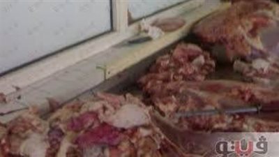 مصادرة 2100 طن عجينة كفتة ورنجة فاسدة داخل ثلاجة بالساحل