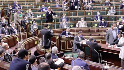 البرلمان يقر عدم التحقيق مع الأعضاء قبل موافقته ويمنع الجمع بين المجلسين