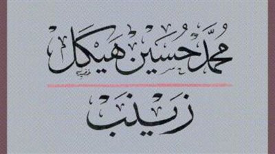 هيئة الكتاب تتيح رواية 