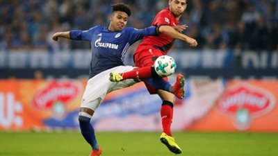 باير ليفركوزن يخطف تعادلا مثيرا من شالكة في الدوري الألماني