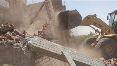 إزالة 137 حالة تعد علي الرقعة الزراعية بقنا | صور