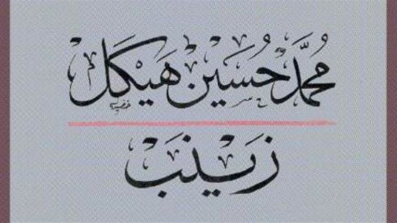 رواية زينب