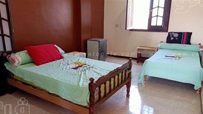 تحويل المنازل لحجر صحي.. مواطن يتبرع بمسكنه في طوخ.. آخر يحول فيلته لعزل في الشرقية.. والطب العلاجي: مخالف للاشتراطات