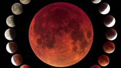 3 فوائد لكسوف الشمس.. واضطراب سلوك الطيور من أضراره