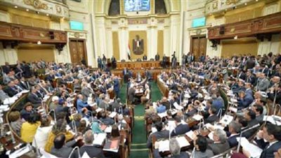 تشريعية النواب تعلن تقديرها الكامل لتضحيات جيش مصر الأبيض