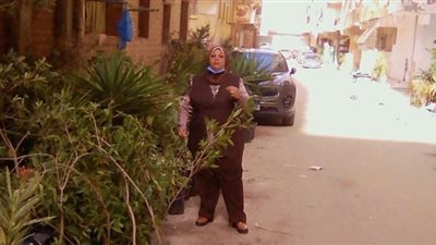 انطلاق فعاليات 