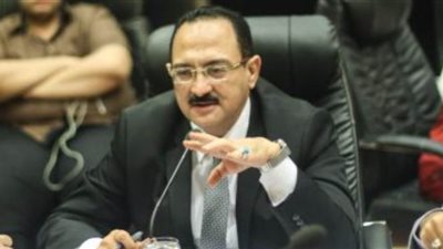 برلماني: انتخاب مجلس الشيوخ إضافة للتجربة الديمقراطية