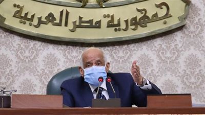 عبد العال: إحدى الدول أخذت بنظام البرامج والأداء في إعداد موازنتها لكنها لم تحقق الأهداف