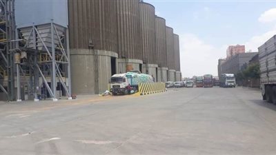 توريد 181 ألفا و683 طن قمح بالقليوبية