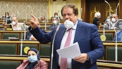 عبد العال يشيد بأداء محمد أبو العينين: تعليقاته مدروسة وإضافة كبيرة لمجلس النواب