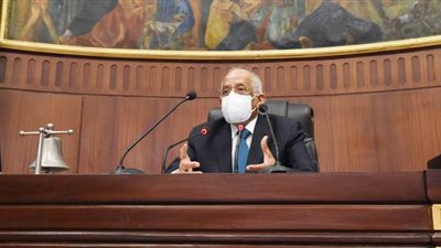 نائب أسوان لـ