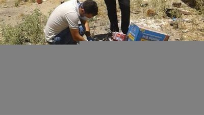 إعدام أغذية غير صالحة للاستخدام الآدمي بالعريش والشيخ زويد | صور