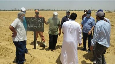 رفع 870 حالة إشغال طريق ولافتات إعلانية بالبحيرة 