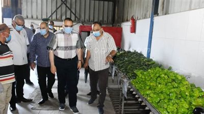 ماذا قدمت الشرقية لدعم الأسر المتضررة من جائحة «كورونا»؟ | صور