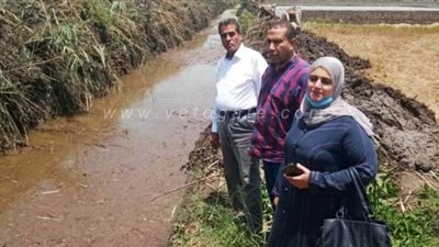 إزالة تعديات علي مجرى مائي وإنقاذ 375 فدانا بالشرقية | صور