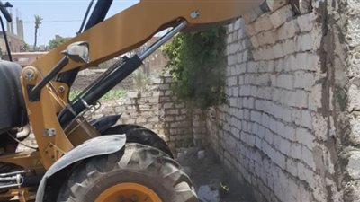 إزالة 38 حالة تعد على الأراضي الزراعية وأملاك الدولة في قنا | صور