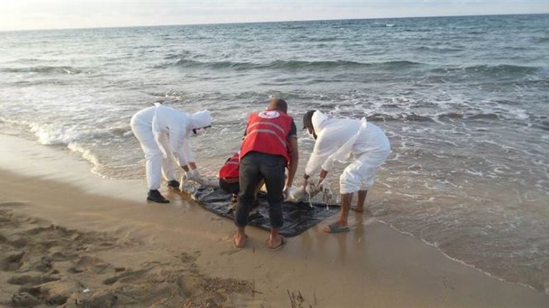صورة ارشيفية