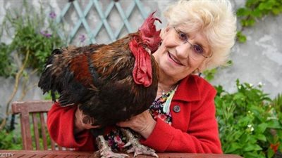 القضاء أنصفه والمرض قضى عليه.. 