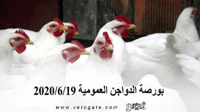 بورصة الدواجن العمومية 2020/6/19