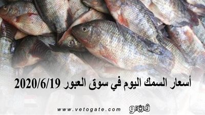 أسعار السمك اليوم في سوق العبور 2020/6/19