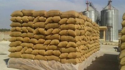 إغلاق باب توريد القمح للموسم الحالي.. حقيقة أم شائعة؟
