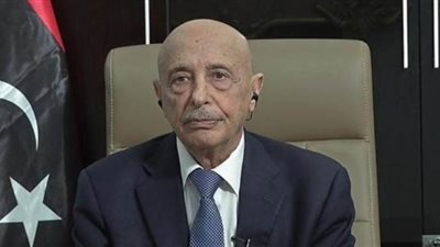 رئيس البرلمان الليبي يناقش مع سفيرة فرنسا وقف إطلاق النار وتدفق الأسلحة والمرتزقة