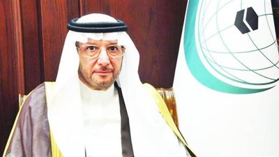 أمين عام منظمة التعاون الإسلامي: الإخوان أكثر خطرًا من 