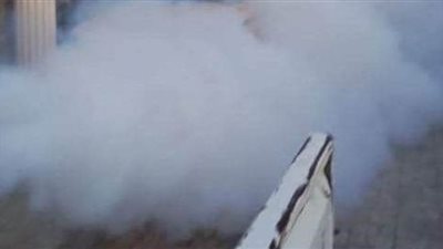 حملات لمكافحة الحشرات ورفع 100 طن قمامة بقرية نفيشة بالإسماعيلية | صور