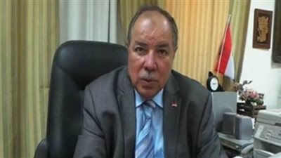 إسماعيل نصر الدين: ندعم القيادة السياسية في ملف سد النهضة ونثق في قراراتها