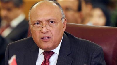 وزير الخارجية يبحث العلاقات الثنائية والقضايا الإقليمية مع نظيره الفرنسي