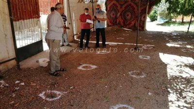 تعليم الجيزة: تخطيط الأرض لتنظيم وقوف الطلاب أمام اللجان