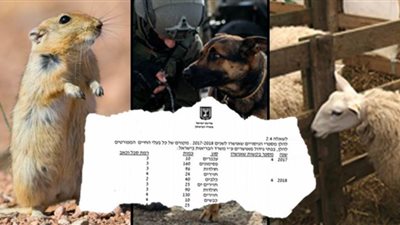 إسرائيل تهدر حقوق الحيوان في تجارب سرية خاصة بالجيش  (صور)