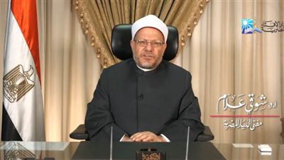 المفتي: نقف خلف مؤسسات الوطن وقياداته في هذه المرحلة الفارقة | فيديو
