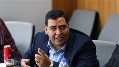 برلماني: الدعم الدولي للقرار المصري تجاه ليبيا يؤكد عدالة مطلب أمننا القومي