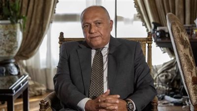 شكري يكشف موقف مصر حال عدم تمكن مجلس الأمن من إعادة إثيوبيا إلى مفاوضات سد النهضة