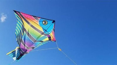 الطائرات الورقية تحصد أرواح الشباب.. وفاة طفل صعقاً في طوخ.. سقوط شاب من الطابق السادس بدار السلام.. وغرق صبي في شبرا