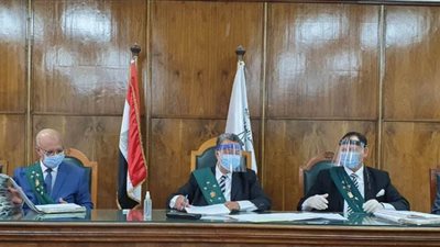 الإدارية العليا تنقذ وكيل الحقوق الأسبق من العزل وتحكم ببراءته