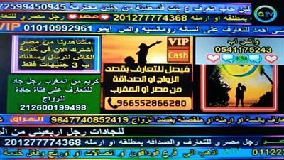 الخاطبة التليفزيونية.. انتشار قنوات التعارف والصداقة.. إعلانات صور وهواتف مواصفات طالبي الزواج.. وأستاذ شريعة: تدعو للرذيلة