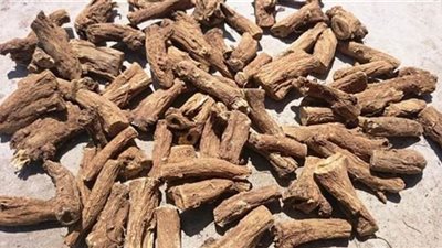 كيف يساعد القسط الهندي  على إنقاص وزنك؟