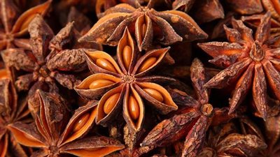 اكتشف فوائد اليانسون لصحة أجهزة الجسم وتقوية المناعة