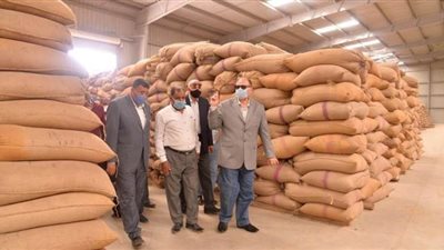 توريد 179 ألفا و990 طن قمح الصوامع ومراكز التجميع بأسيوط
