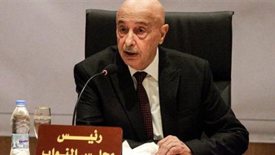 عقيلة صالح: الشعب الليبي يطلب رسمياً من مصر التدخل العسكري