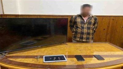لص يقتل ربة منزل لسرقة هاتفين وشاشة تليفزيون بالغربية 